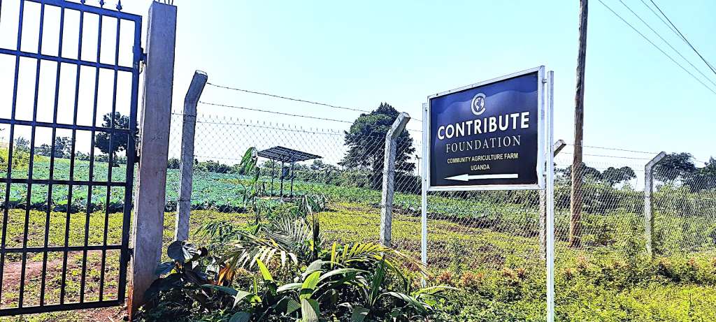 Mazima’s Approach: Empowering Rural Communities for Global Markets