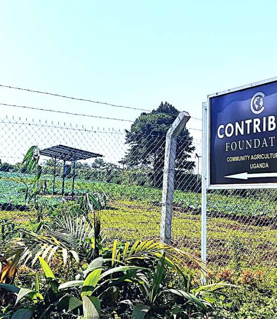 Mazima’s Approach: Empowering Rural Communities for Global Markets