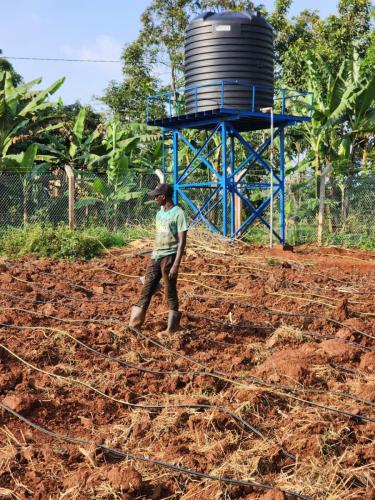 WhatsApp Image 2025-03-18 at 10.56.55 PM