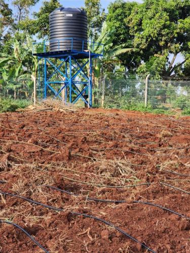 WhatsApp Image 2025-03-18 at 10.56.56 PM