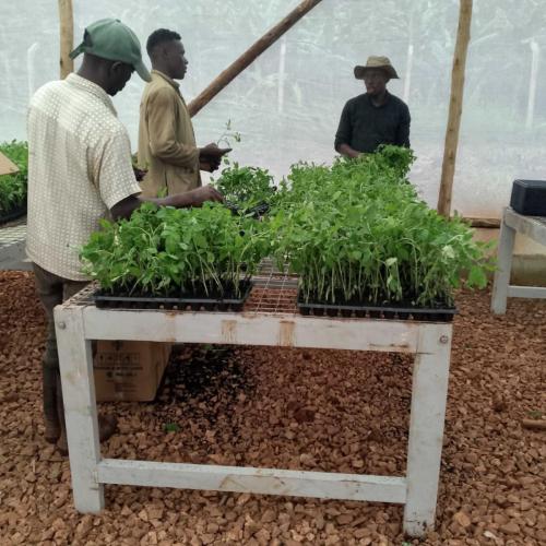 WhatsApp Image 2025-03-18 at 10.56.57 PM (1)