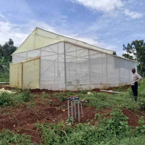 WhatsApp Image 2025-03-18 at 10.56.57 PM