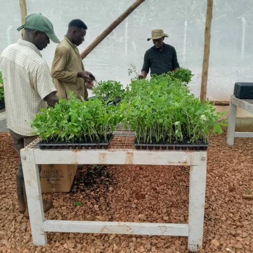 WhatsApp Image 2025-03-18 at 10.56.58 PM