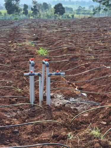 WhatsApp Image 2025-03-18 at 10.56.59 PM