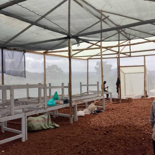 WhatsApp Image 2025-03-18 at 10.57.26 PM